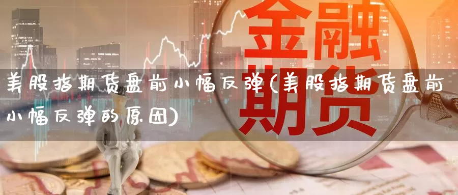 美股指期货盘前小幅反弹(美股指期货盘前小幅反弹的原因)_https://www.wenchangxx.com_国际期货_第1张