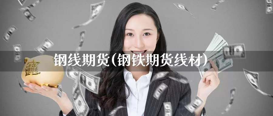 钢线期货(钢铁期货线材)_https://www.wenchangxx.com_国际期货_第1张