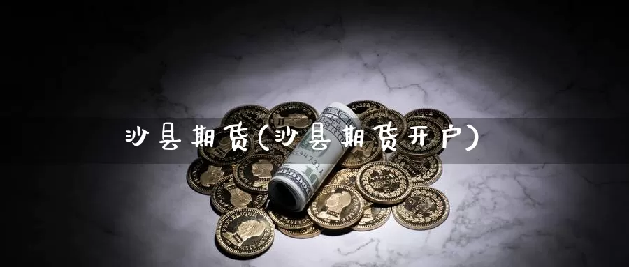 沙县期货(沙县期货开户)_https://www.wenchangxx.com_期货行情_第1张