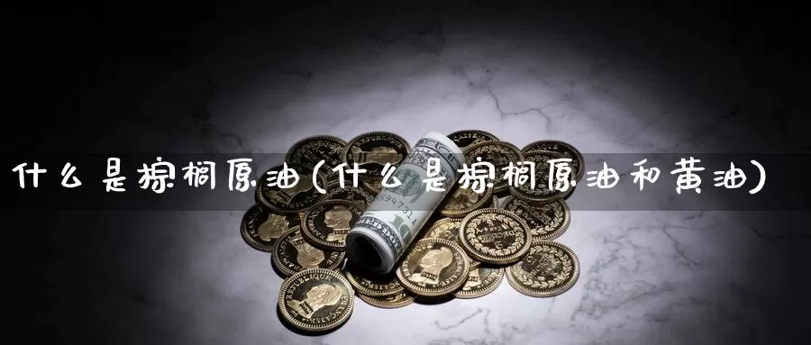 什么是棕榈原油(什么是棕榈原油和黄油)_https://www.wenchangxx.com_国际期货_第1张