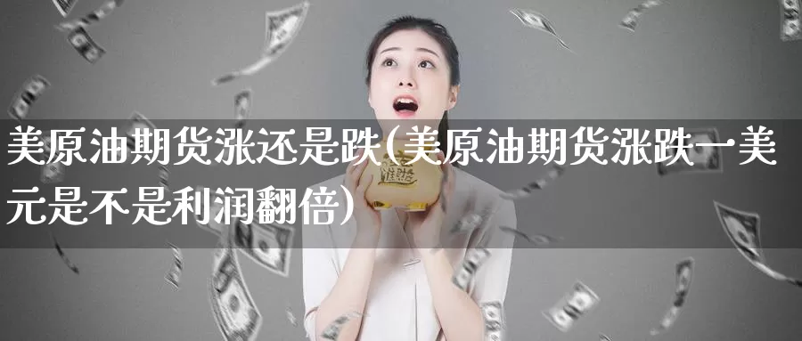 美原油期货涨还是跌(美原油期货涨跌一美元是不是利润翻倍)_https://www.wenchangxx.com_期货平台_第1张