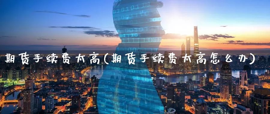 期货手续费太高(期货手续费太高怎么办)_https://www.wenchangxx.com_国际期货_第1张