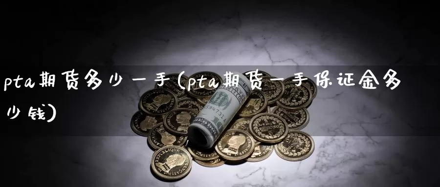 pta期货多少一手(pta期货一手保证金多少钱)_https://www.wenchangxx.com_期货行情_第1张