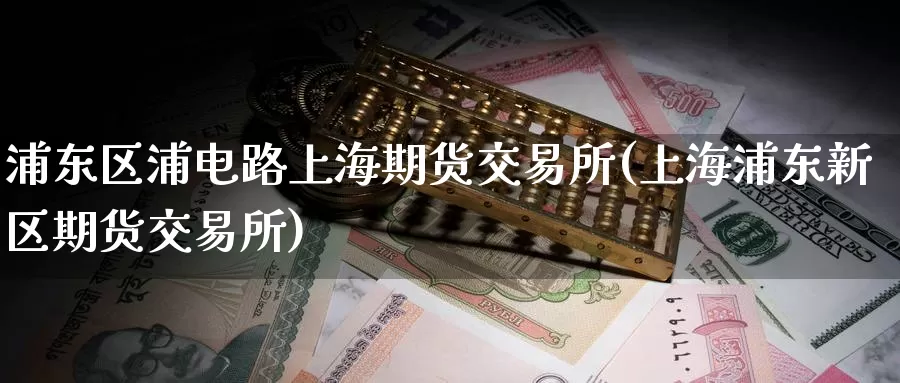 浦东区浦电路上海期货交易所(上海浦东新区期货交易所)_https://www.wenchangxx.com_国际期货_第1张
