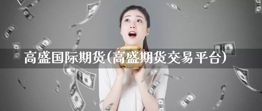 高盛国际期货(高盛期货交易平台)_https://www.wenchangxx.com_期货平台_第1张