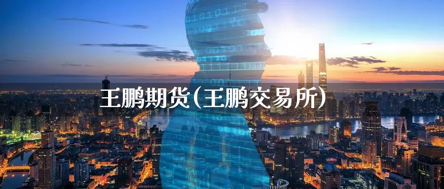 王鹏期货(王鹏交易所)_https://www.wenchangxx.com_期货行情_第1张