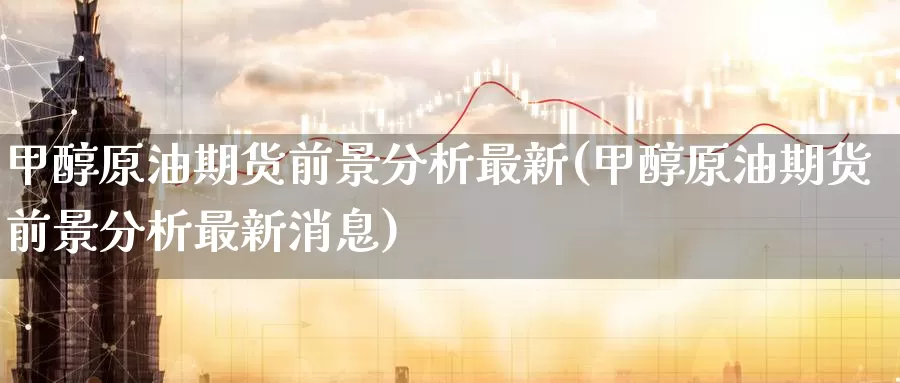 甲醇原油期货前景分析最新(甲醇原油期货前景分析最新消息)_https://www.wenchangxx.com_国际期货_第1张