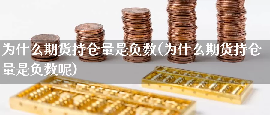 为什么期货持仓量是负数(为什么期货持仓量是负数呢)_https://www.wenchangxx.com_国际期货_第1张