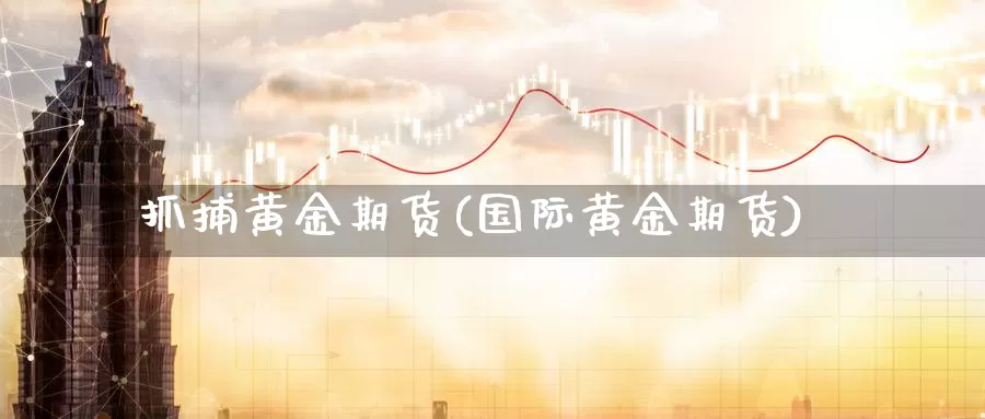 抓捕黄金期货(国际黄金期货)_期货平台_第1张_国际期货交易平台 抓捕黄金期货(国际黄金期货)_https://www.wenchangxx.com_期货平台_第1张