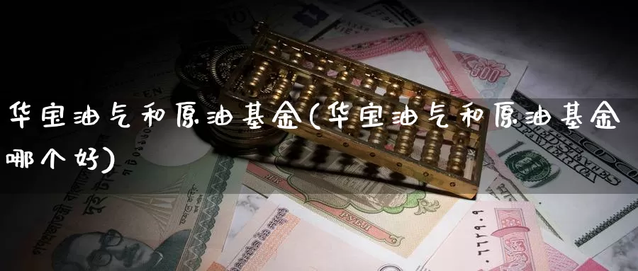 华宝油气和原油基金(华宝油气和原油基金哪个好)_https://www.wenchangxx.com_期货行情_第1张