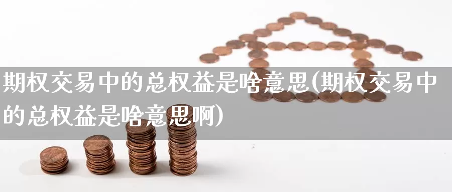 期权交易中的总权益是啥意思(期权交易中的总权益是啥意思啊)_https://www.wenchangxx.com_期货平台_第1张