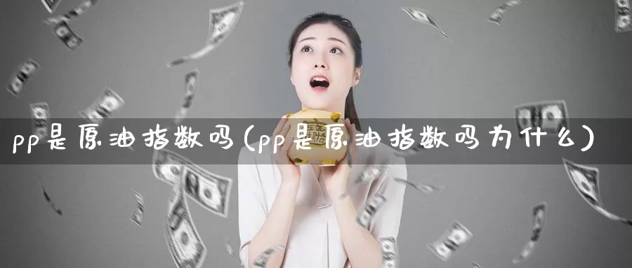 pp是原油指数吗(pp是原油指数吗为什么)_https://www.wenchangxx.com_期货行情_第1张