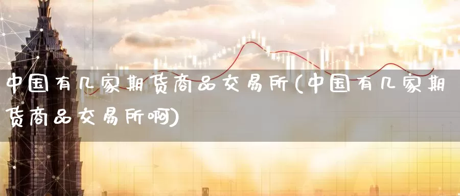 中国有几家期货商品交易所(中国有几家期货商品交易所啊)_https://www.wenchangxx.com_期货平台_第1张