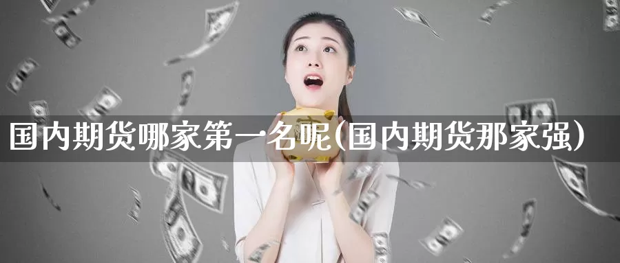 国内期货哪家第一名呢(国内期货那家强)_https://www.wenchangxx.com_国际期货_第1张
