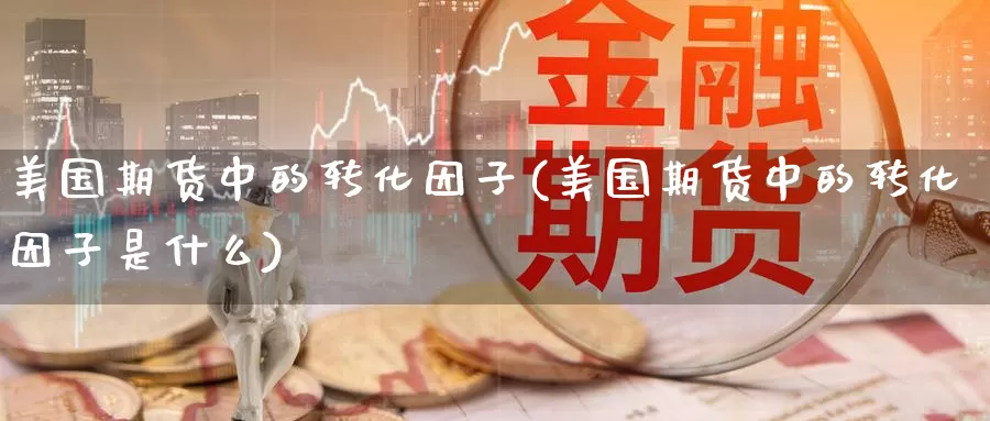 美国期货中的转化因子(美国期货中的转化因子是什么)_https://www.wenchangxx.com_期货行情_第1张