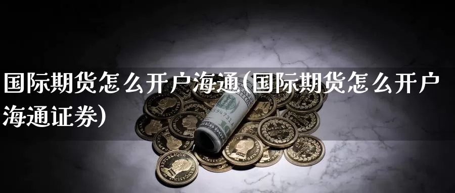 国际期货怎么开户海通(国际期货怎么开户海通证券)_https://www.wenchangxx.com_德指期货_第1张