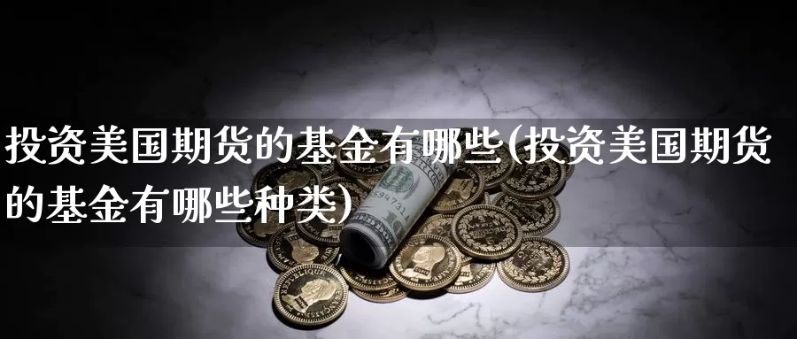 投资美国期货的基金有哪些(投资美国期货的基金有哪些种类)_https://www.wenchangxx.com_国际期货_第1张