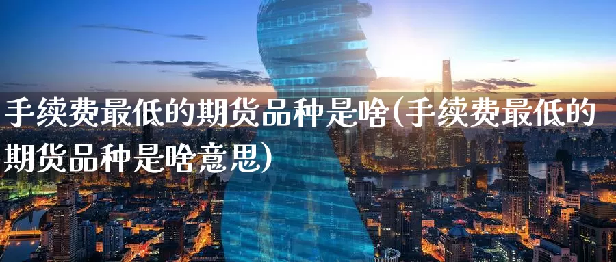 手续费最低的期货品种是啥(手续费最低的期货品种是啥意思)_https://www.wenchangxx.com_期货行情_第1张