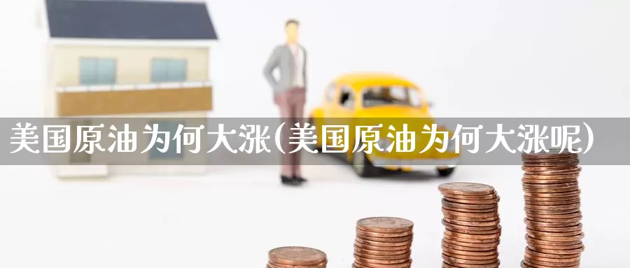 美国原油为何大涨(美国原油为何大涨呢)_国际期货_第1张_国际期货交易平台 美国原油为何大涨(美国原油为何大涨呢)_https://www.wenchangxx.com_国际期货_第1张