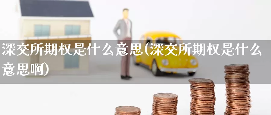 深交所期权是什么意思(深交所期权是什么意思啊)_https://www.wenchangxx.com_德指期货_第1张