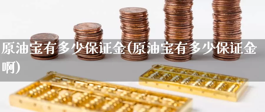 原油宝有多少保证金(原油宝有多少保证金啊)_https://www.wenchangxx.com_国际期货_第1张