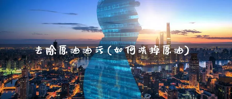 去除原油油污(如何洗掉原油)_国际期货_第1张_国际期货交易平台 去除原油油污(如何洗掉原油)_https://www.wenchangxx.com_国际期货_第1张