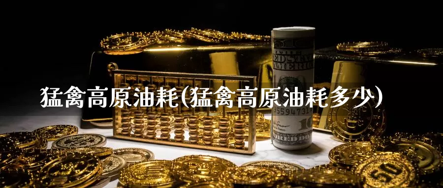 猛禽高原油耗(猛禽高原油耗多少)_https://www.wenchangxx.com_期货平台_第1张