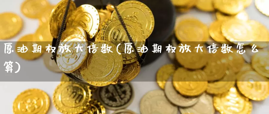 原油期权放大倍数(原油期权放大倍数怎么算)_期货行情_第1张_国际期货交易平台 原油期权放大倍数(原油期权放大倍数怎么算)_https://www.wenchangxx.com_期货行情_第1张