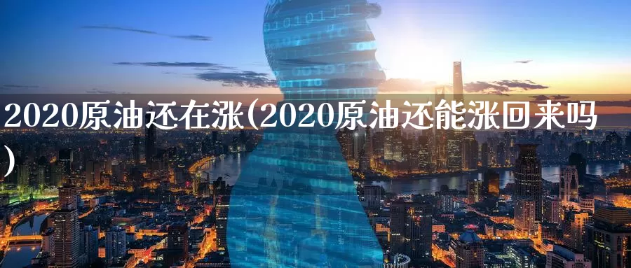 2020原油还在涨(2020原油还能涨回来吗)_期货行情_第1张_国际期货交易平台 2020原油还在涨(2020原油还能涨回来吗)_https://www.wenchangxx.com_期货行情_第1张
