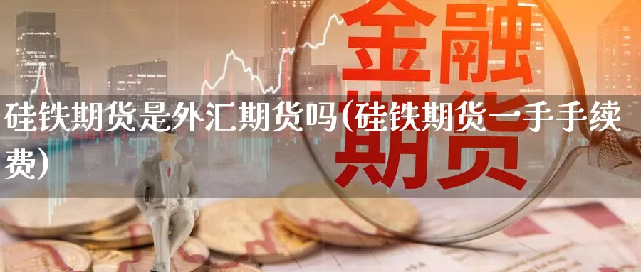 硅铁期货是外汇期货吗(硅铁期货一手手续费)_https://www.wenchangxx.com_德指期货_第1张