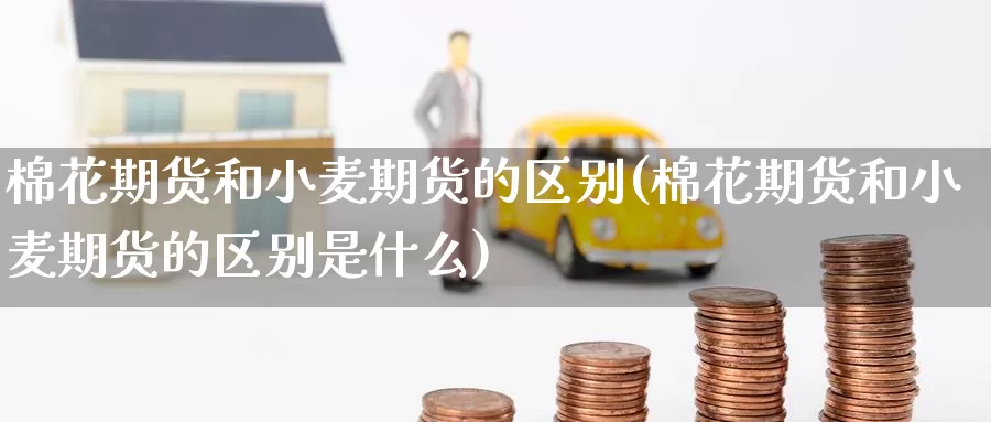 棉花期货和小麦期货的区别(棉花期货和小麦期货的区别是什么)_https://www.wenchangxx.com_德指期货_第1张