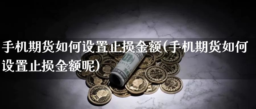 手机期货如何设置止损金额(手机期货如何设置止损金额呢)_https://www.wenchangxx.com_期货行情_第1张