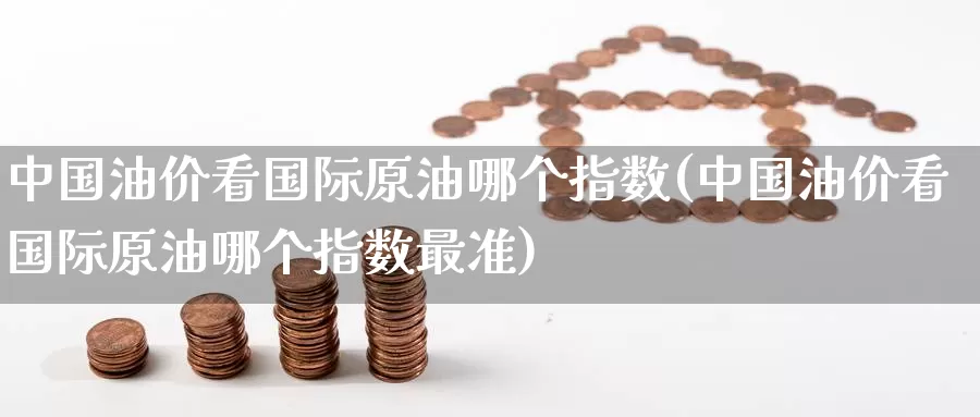 中国油价看国际原油哪个指数(中国油价看国际原油哪个指数最准)_https://www.wenchangxx.com_德指期货_第1张