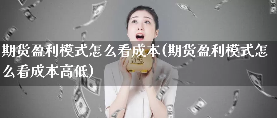 期货盈利模式怎么看成本(期货盈利模式怎么看成本高低)_https://www.wenchangxx.com_期货平台_第1张