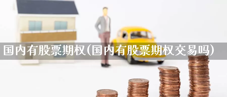 国内有股票期权(国内有股票期权交易吗)_https://www.wenchangxx.com_国际期货_第1张