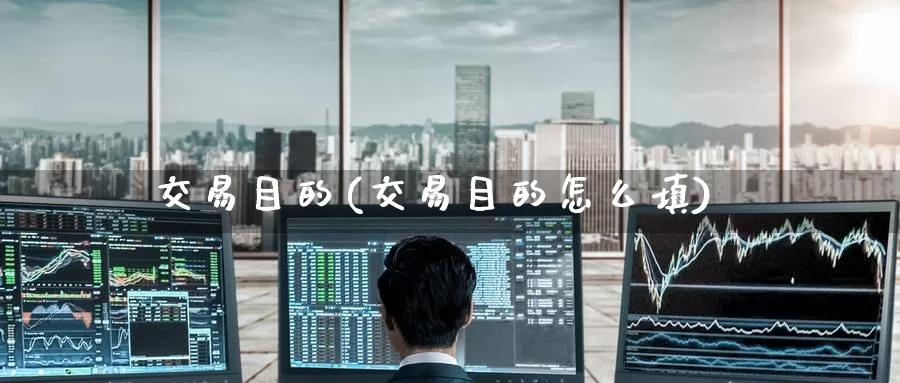 交易目的(交易目的怎么填)_https://www.wenchangxx.com_德指期货_第1张