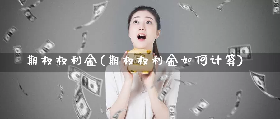 期权权利金(期权权利金如何计算)_https://www.wenchangxx.com_期货平台_第1张