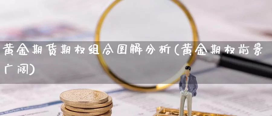 黄金期货期权组合图解分析(黄金期权前景广阔)_https://www.wenchangxx.com_期货行情_第1张
