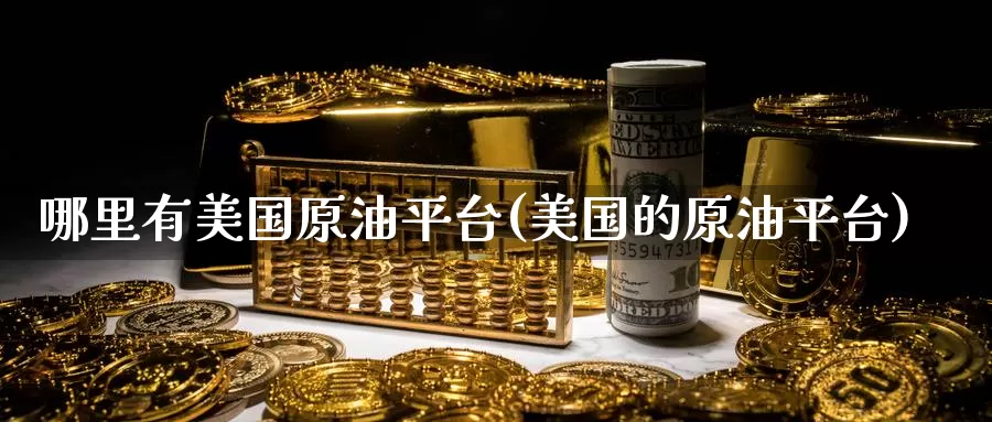 哪里有美国原油平台(美国的原油平台)_https://www.wenchangxx.com_国际期货_第1张