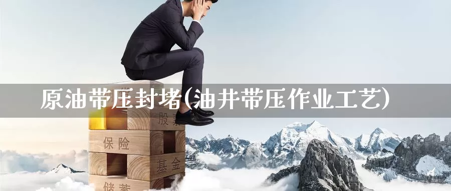 原油带压封堵(油井带压作业工艺)_https://www.wenchangxx.com_国际期货_第1张
