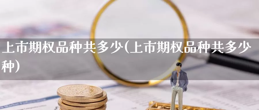 上市期权品种共多少(上市期权品种共多少种)_https://www.wenchangxx.com_期货行情_第1张