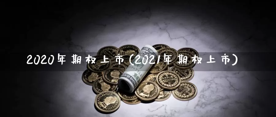 2020年期权上市(2021年期权上市)_期货平台_第1张_国际期货交易平台 2020年期权上市(2021年期权上市)_https://www.wenchangxx.com_期货平台_第1张