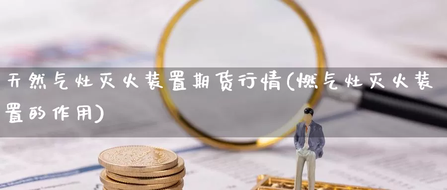 天然气灶灭火装置期货行情(燃气灶灭火装置的作用)_https://www.wenchangxx.com_期货平台_第1张