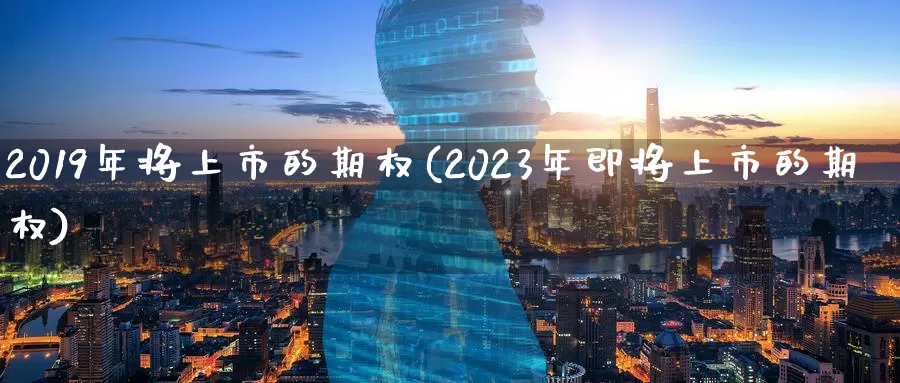 2019年将上市的期权(2023年即将上市的期权)_https://www.wenchangxx.com_德指期货_第1张
