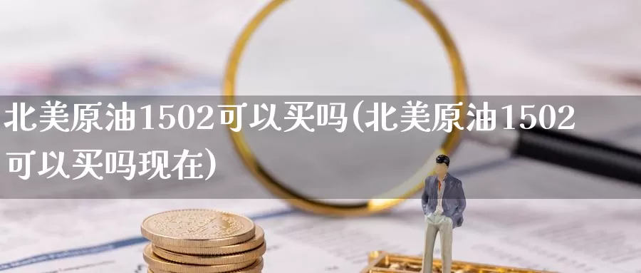 北美原油1502可以买吗(北美原油1502可以买吗现在)_https://www.wenchangxx.com_国际期货_第1张