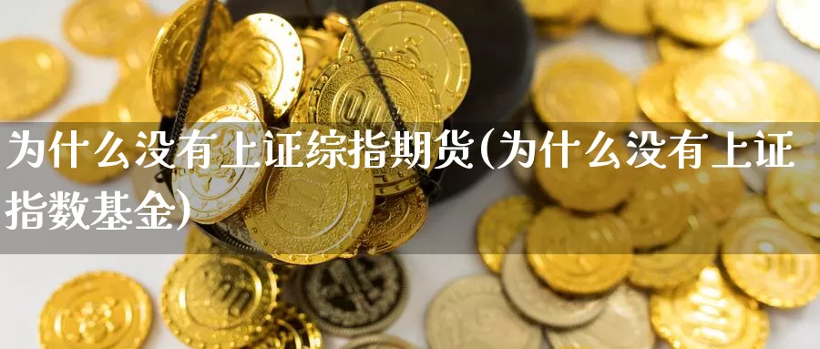 为什么没有上证综指期货(为什么没有上证指数基金)_https://www.wenchangxx.com_期货平台_第1张
