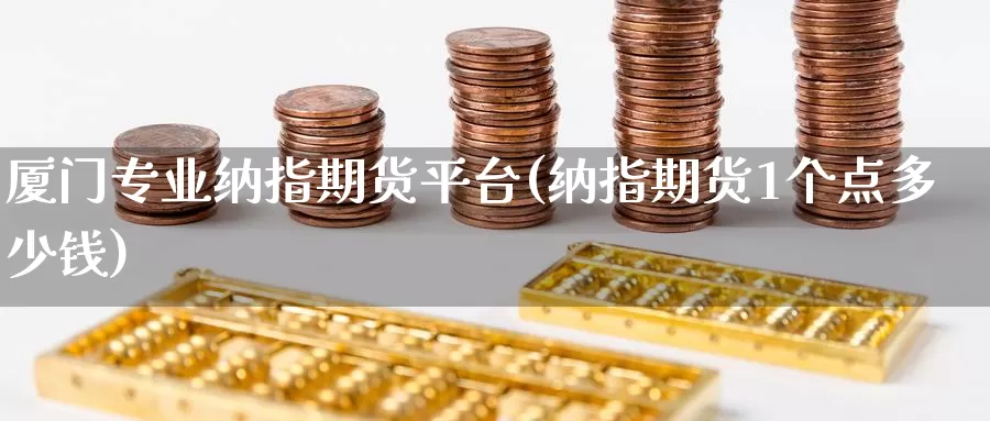 厦门专业纳指期货平台(纳指期货1个点多少钱)_https://www.wenchangxx.com_期货平台_第1张