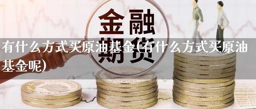 有什么方式买原油基金(有什么方式买原油基金呢)_德指期货_第1张_国际期货交易平台 有什么方式买原油基金(有什么方式买原油基金呢)_https://www.wenchangxx.com_德指期货_第1张