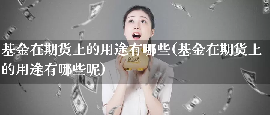 基金在期货上的用途有哪些(基金在期货上的用途有哪些呢)_https://www.wenchangxx.com_国际期货_第1张