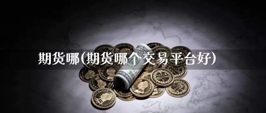 期货哪(期货哪个交易平台好)_https://www.wenchangxx.com_国际期货_第1张